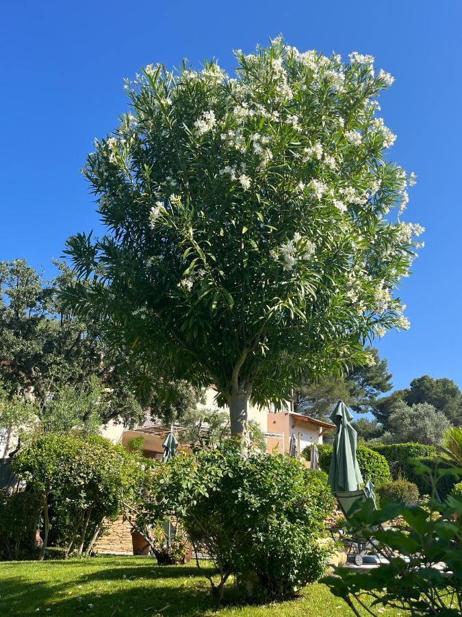 לה באסט Le Clos Serein מראה חיצוני תמונה