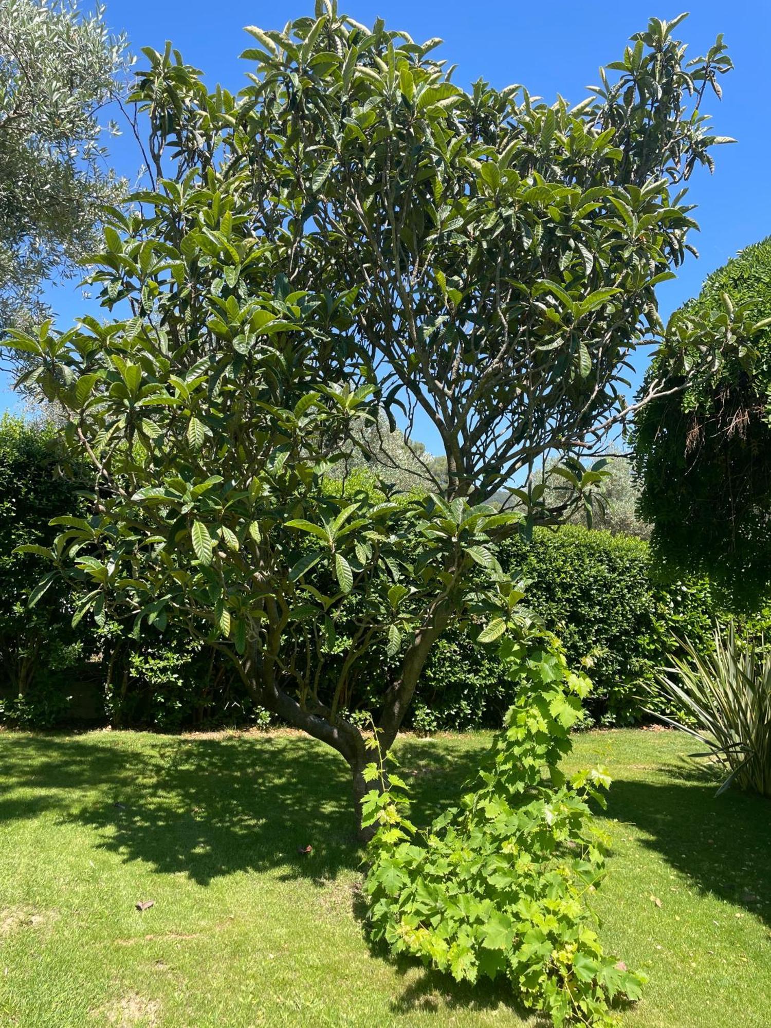 לה באסט Le Clos Serein מראה חיצוני תמונה